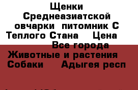 Щенки Среднеазиатской овчарки (питомник С Теплого Стана) › Цена ­ 20 000 - Все города Животные и растения » Собаки   . Адыгея респ.